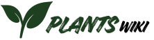 best plants wiki site logo